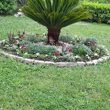 Lejlighed Lili Rab Rab Town